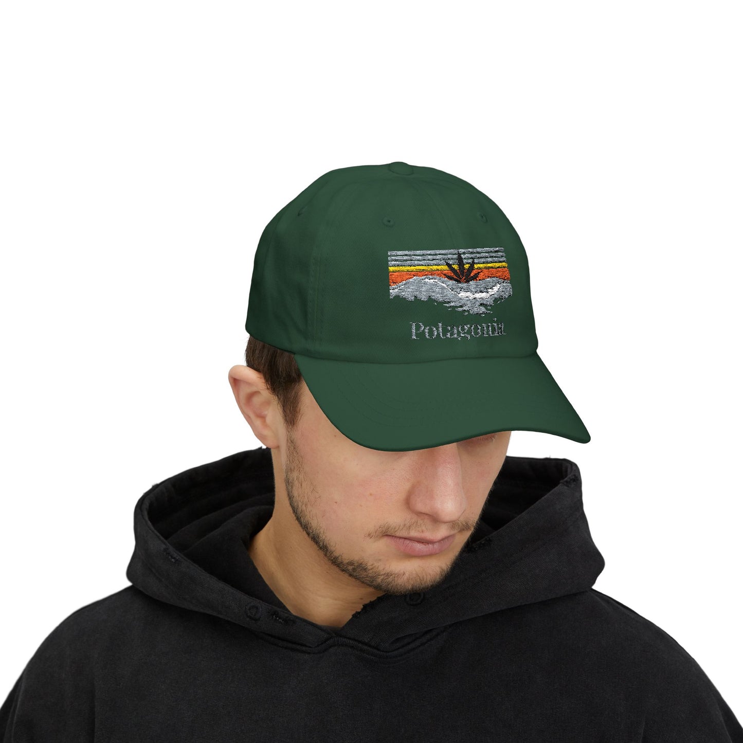 Potagonia Classic Surfs Up Dad Cap