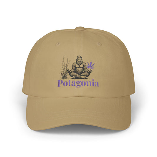 Potagonia Classic  Meh-Teh Yoga  Dad Cap
