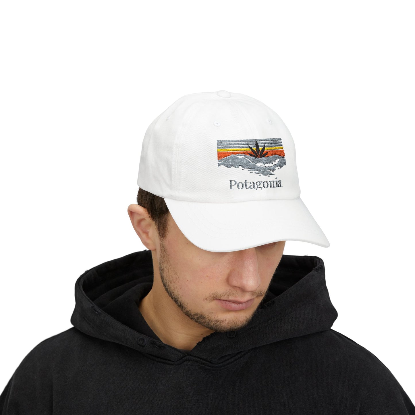 Potagonia Classic Surfs Up Dad Cap