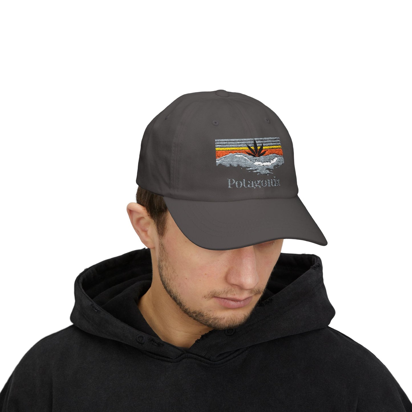 Potagonia Classic Surfs Up Dad Cap